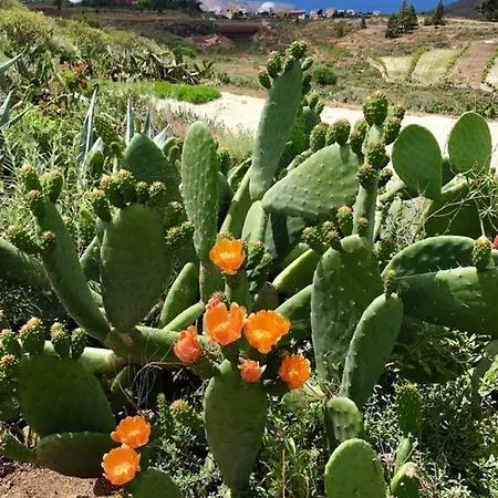 Spacious House In With Terrace And Garden Дом отдыха