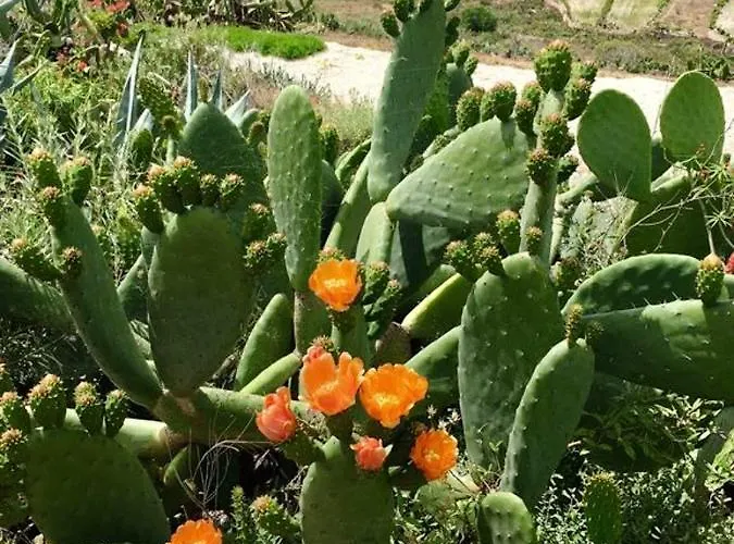 Spacious House In With Terrace And Garden بيت للعطل