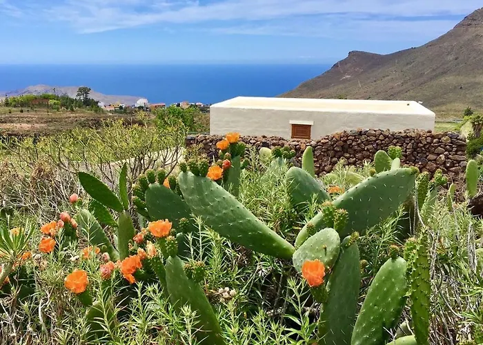 Spacious House In With Terrace And Garden أرونا